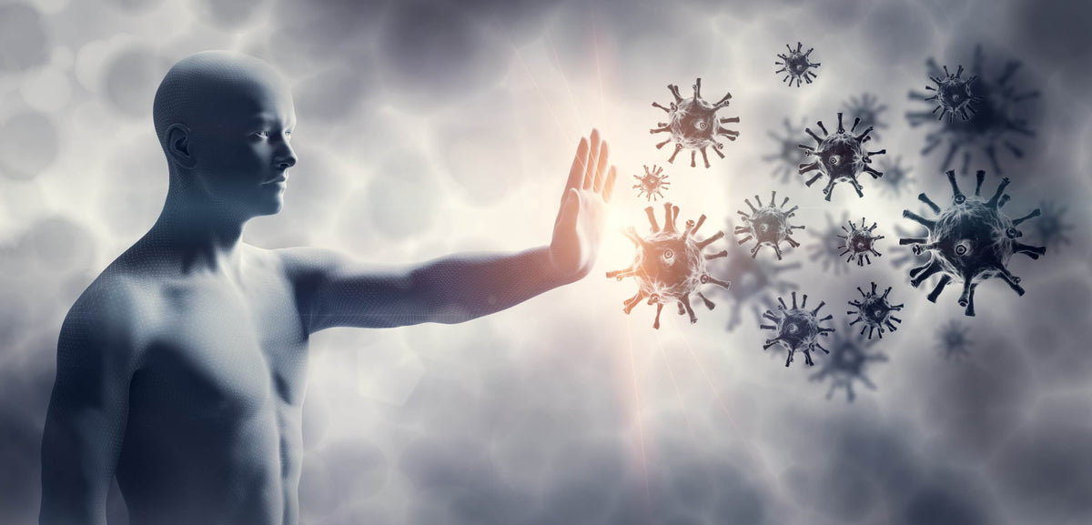 COVID-19: Immunität wehrt Coronavirus ab