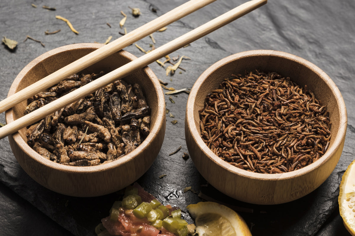 Essbare Insekten