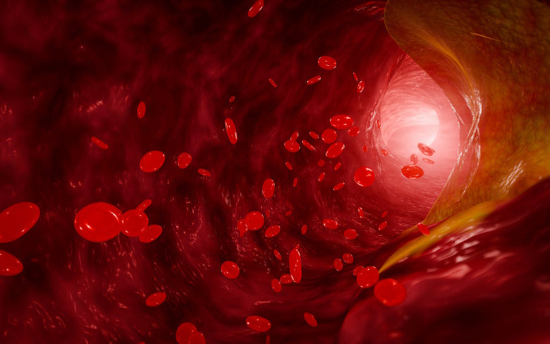 Lipoprotein(a): Herz-Kreislauf-Risiko einschätzen und Lp(a)-Wert senken