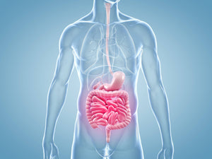 Morbus Crohn - Hilfe bei Entzündungen im Darm