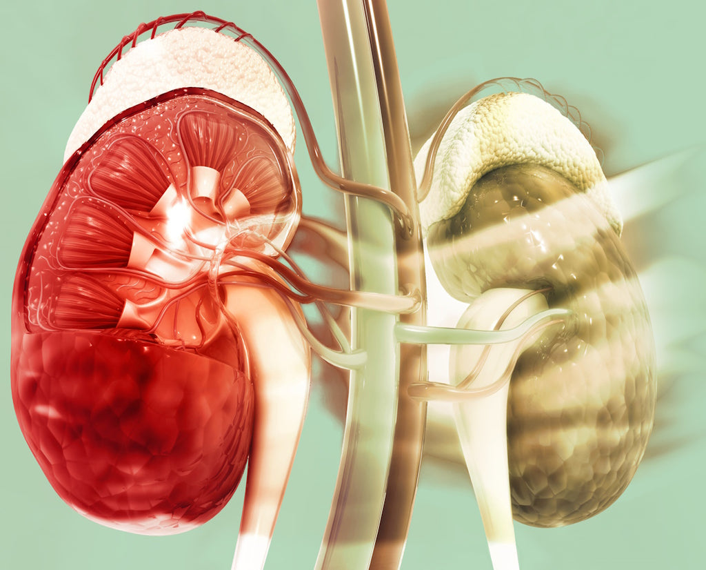 Morbus Cushing (CushingSyndrom) cerascreen