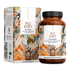 Pilzkraft Pilz-Komplex Kapseln