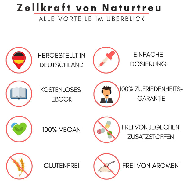 Zellkraft Vitamin B12 Tropfen