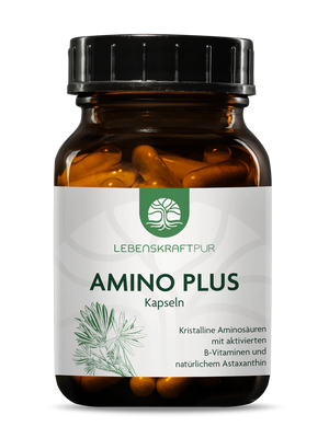 Amino Plus Kapseln