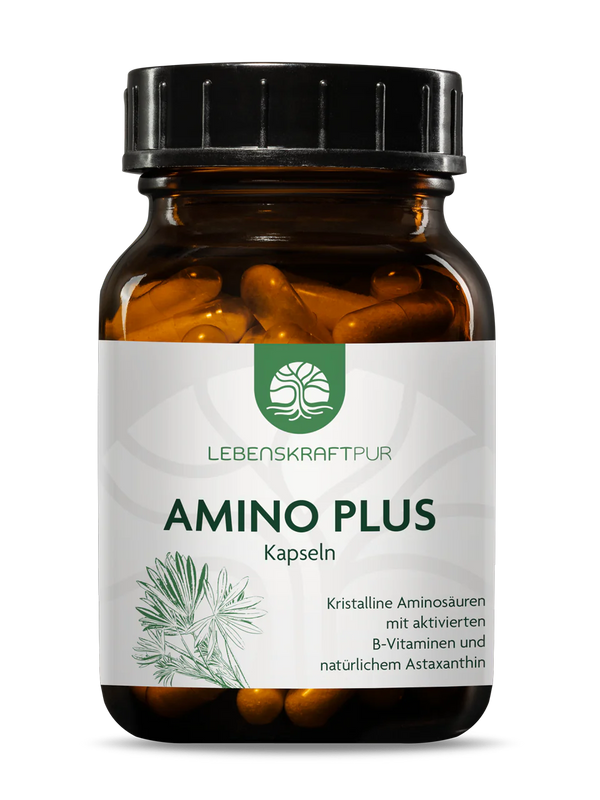 Amino Plus Kapseln