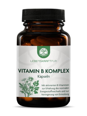 Vitamin B-Komplex Kapseln