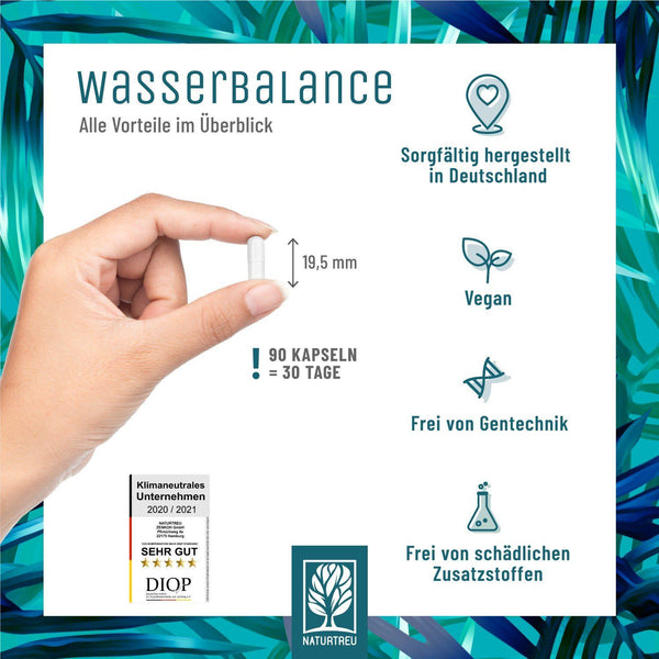 Wasserbalance Kapseln