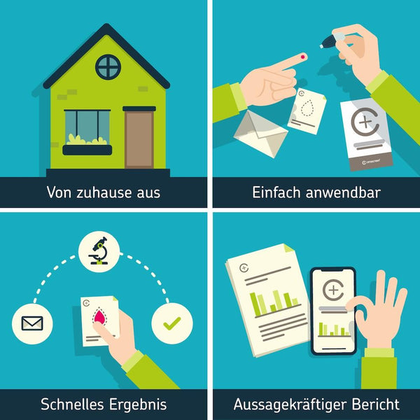 Mineralstoff Test durchführen