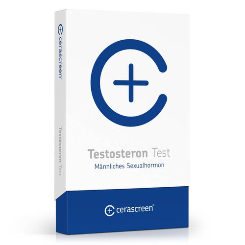 Freies Testosteron Test